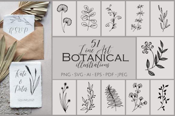 51 Line Art Botanical Illustrations Bundle: Graphics for Publishers