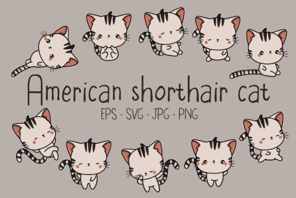 American Shorthair Cat Graphics & Illustrations