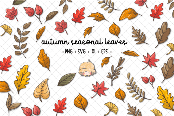 Autumn Fall Season Leaves Illustrations for Brand Graphics