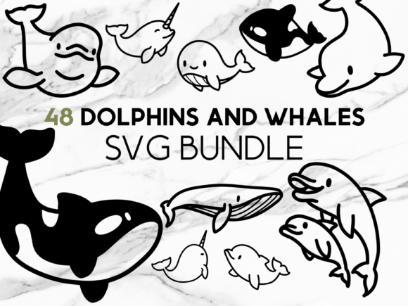 Dolphins and Whales SVG Illustrations: A Designer's Review
