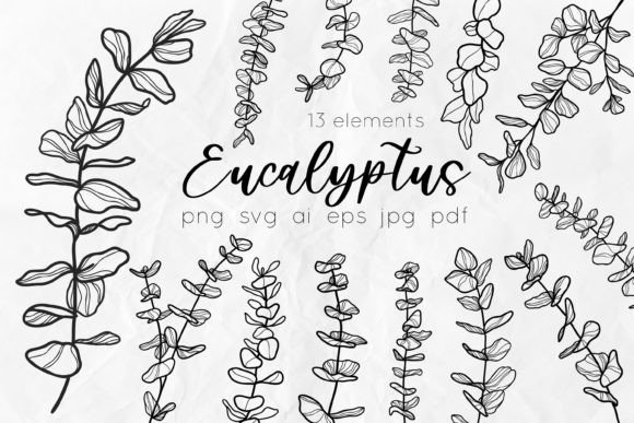 Eucalyptus Line Art Graphics & Illustrations