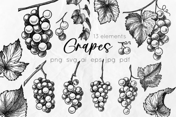 Grapes Line Art SVG Illustrations for Graphics