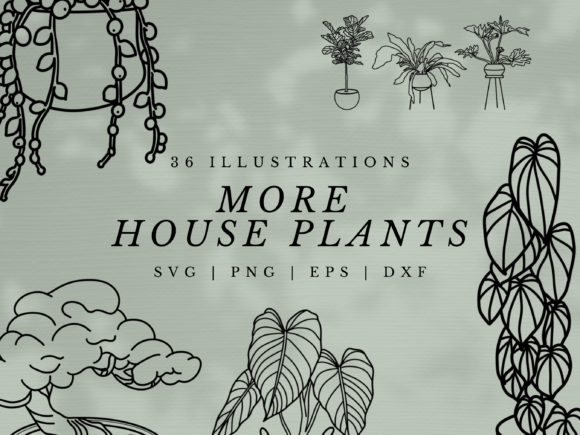 More House Plants: SVG Illustrations & Graphics Review