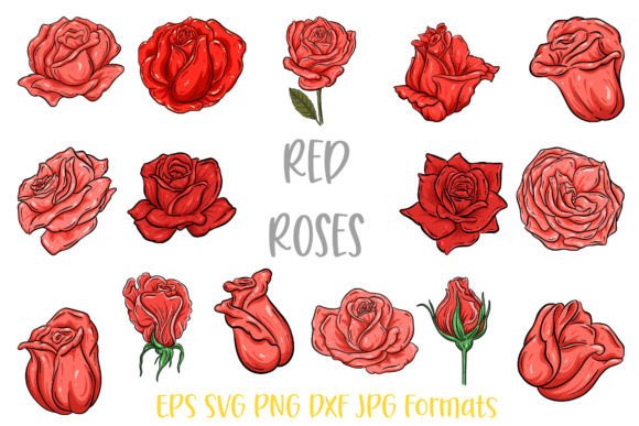 Red Rose Flower Line Art Graphics & Illustrations