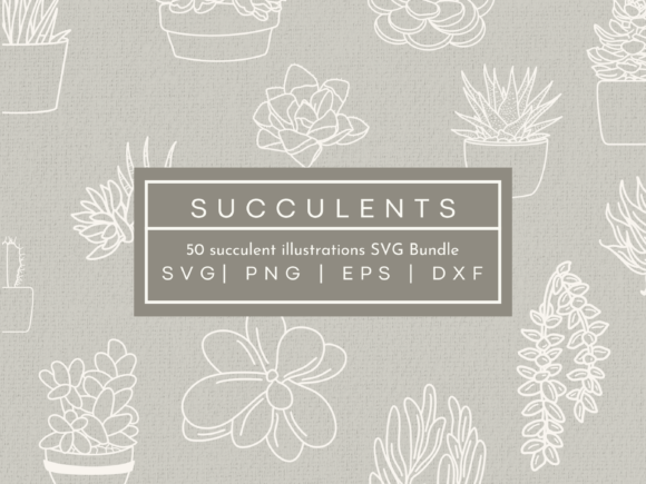 Succulent SVG Illustrations: Graphics & Illustrations for Branding