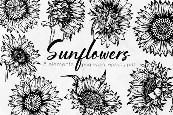 Sunflowers Line Art: Illustrations & Graphics Review