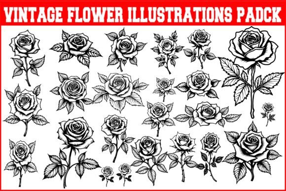 Vintage Flower Illustrations Pack: A Designer's Review