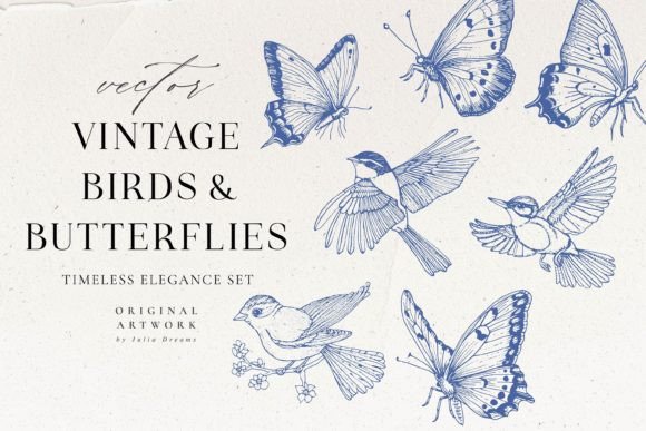 Vintage Vector Illustrations Clipart Bir